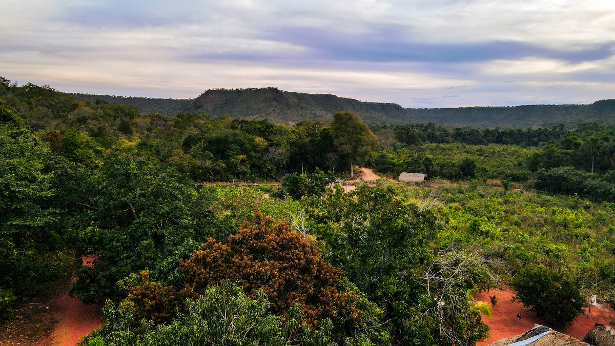 Maranhão registra maior queda no desmatamento do Cerrado com redução de 34,05%